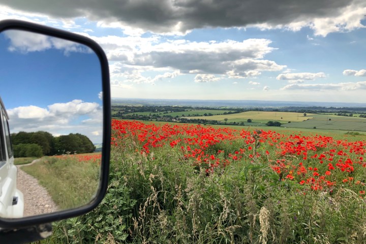 Picture of a side mirror of a white 4x4 Land Rover next to a poppy field