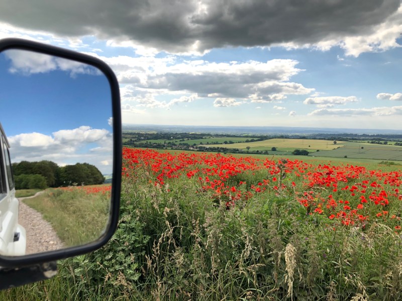 Picture of a side mirror of a white 4x4 Land Rover next to a poppy field