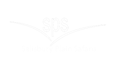 Salisbury Plain Safaris